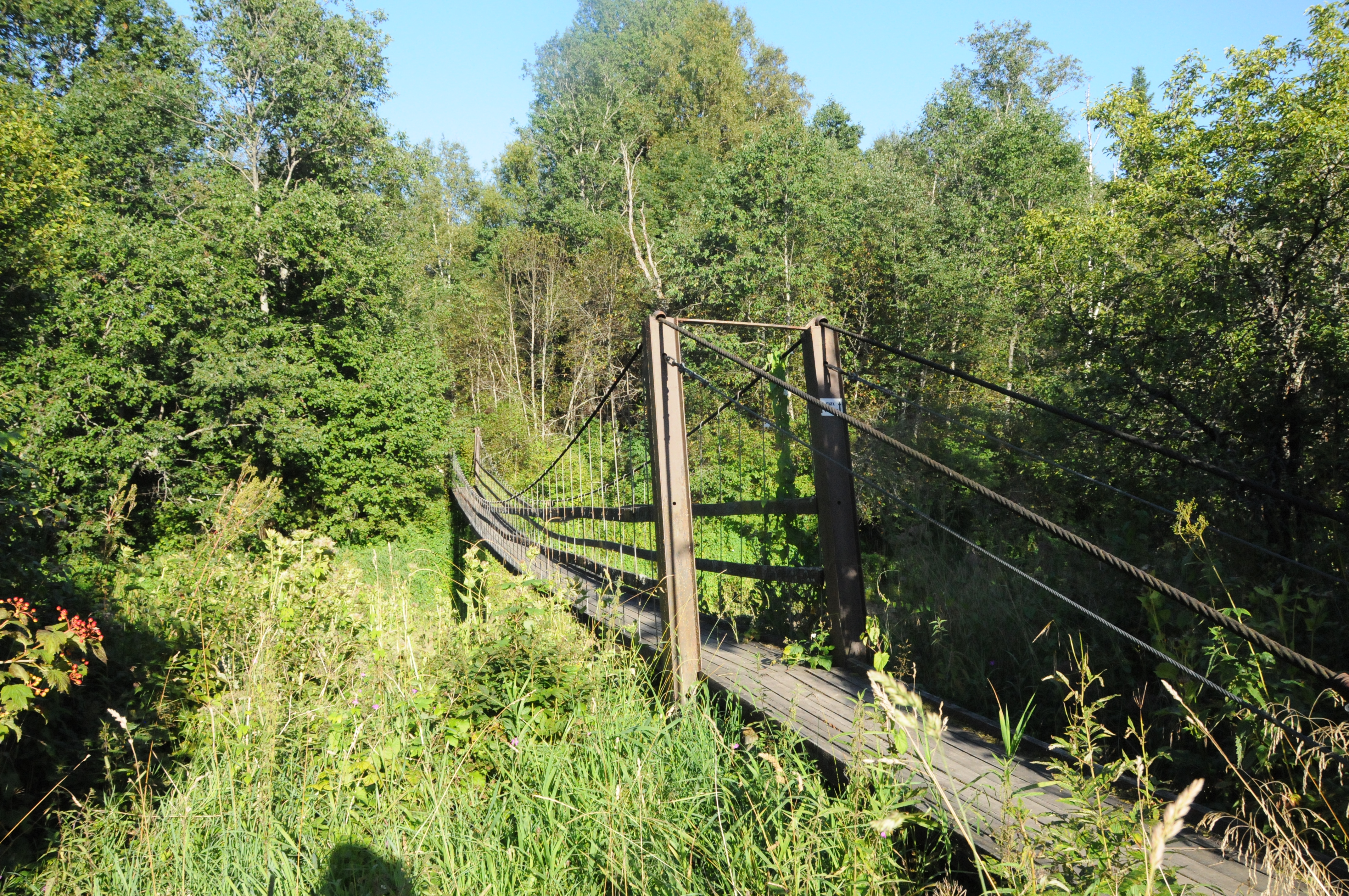 Hängebrücke bei Kirna Alam-Pedja looduskaltseala